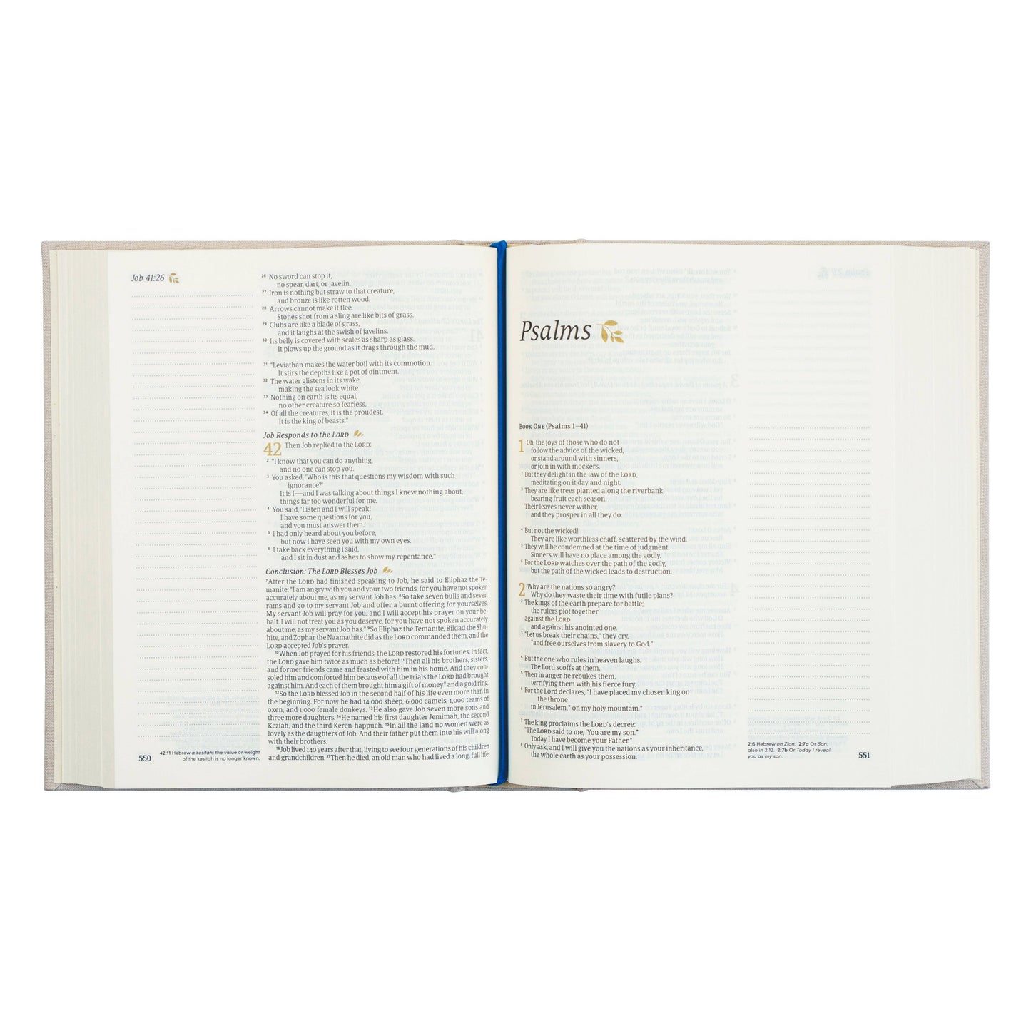 NLT Notetaking Bible