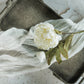 23" White Rose Spray