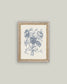 Blue Flower Sketch